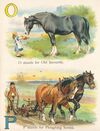 Thumbnail 0010 of The ABC of horses