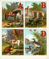 Thumbnail 0003 of Alphabet of country scenes
