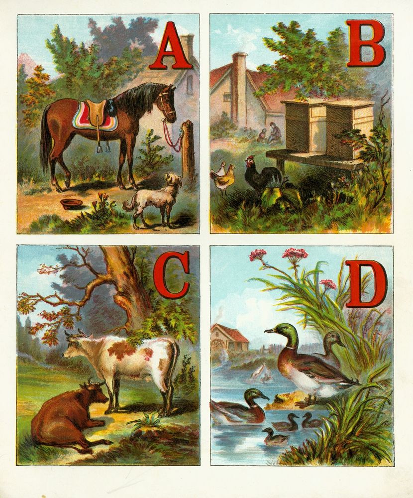 Scan 0003 of Alphabet of country scenes