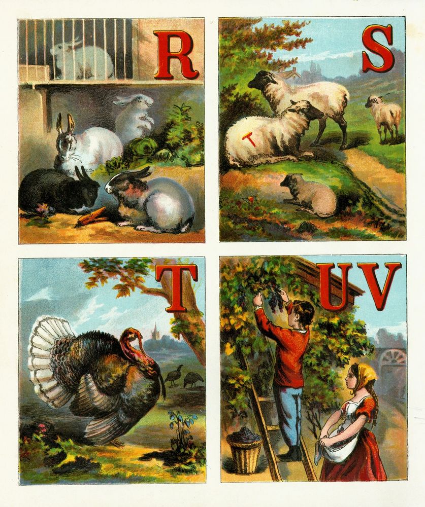 Scan 0018 of Alphabet of country scenes