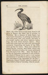 Thumbnail 0022 of The aviary
