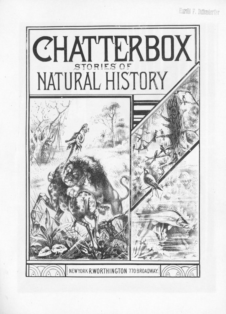 Scan 0009 of Chatterbox stories of natural history