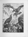 Thumbnail 0013 of Chatterbox stories of natural history