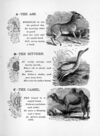 Thumbnail 0033 of Chatterbox stories of natural history