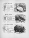 Thumbnail 0129 of Chatterbox stories of natural history