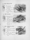 Thumbnail 0137 of Chatterbox stories of natural history