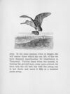 Thumbnail 0139 of Chatterbox stories of natural history