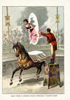 Thumbnail 0009 of Circus sights