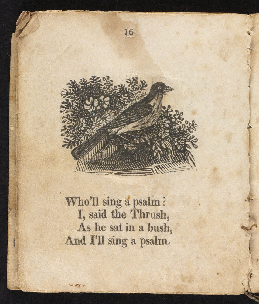 Scan 0014 of The death and burial of Cock Robin