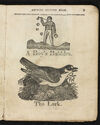 Thumbnail 0009 of Instructive amusement, or, Amusing picture book