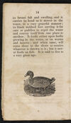 Thumbnail 0016 of Natural history of birds