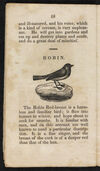 Thumbnail 0020 of Natural history of birds