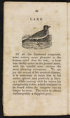 Thumbnail 0022 of Natural history of birds