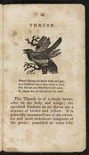 Thumbnail 0025 of Natural history of birds