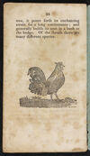 Thumbnail 0026 of Natural history of birds