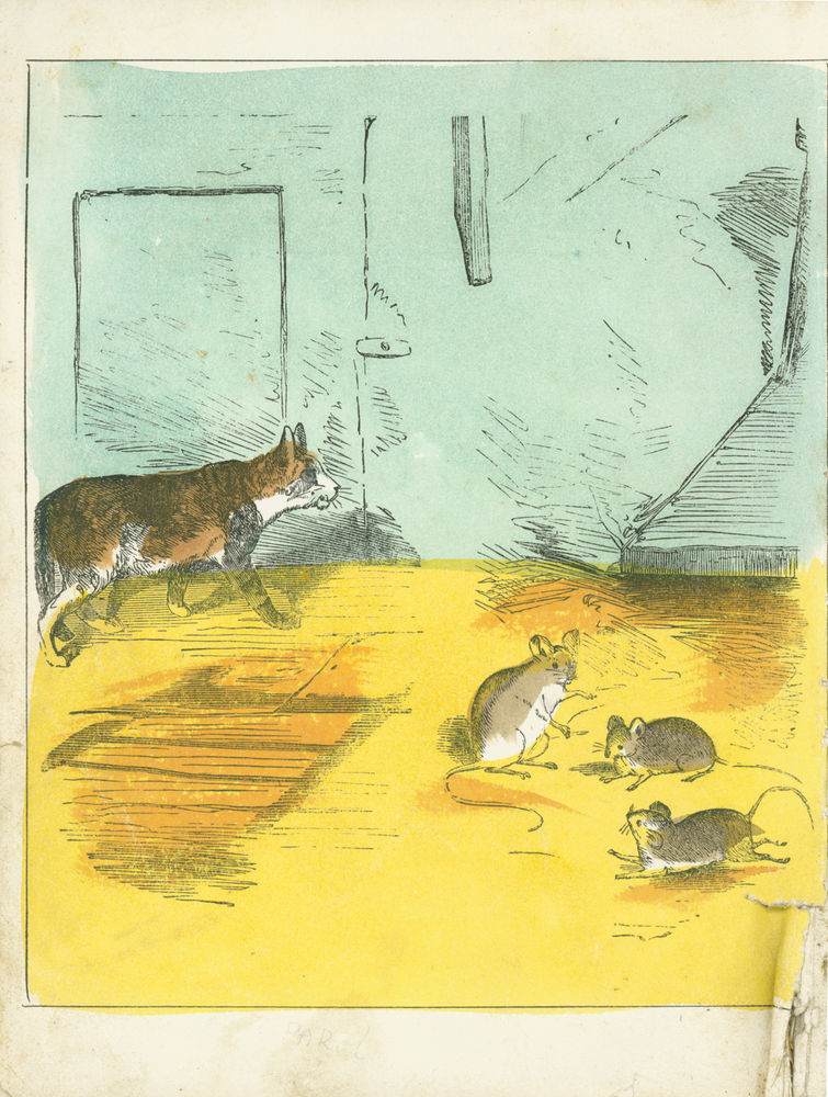 Scan 0007 of Surprising stories about the mouse and her sons, and the funny pigs