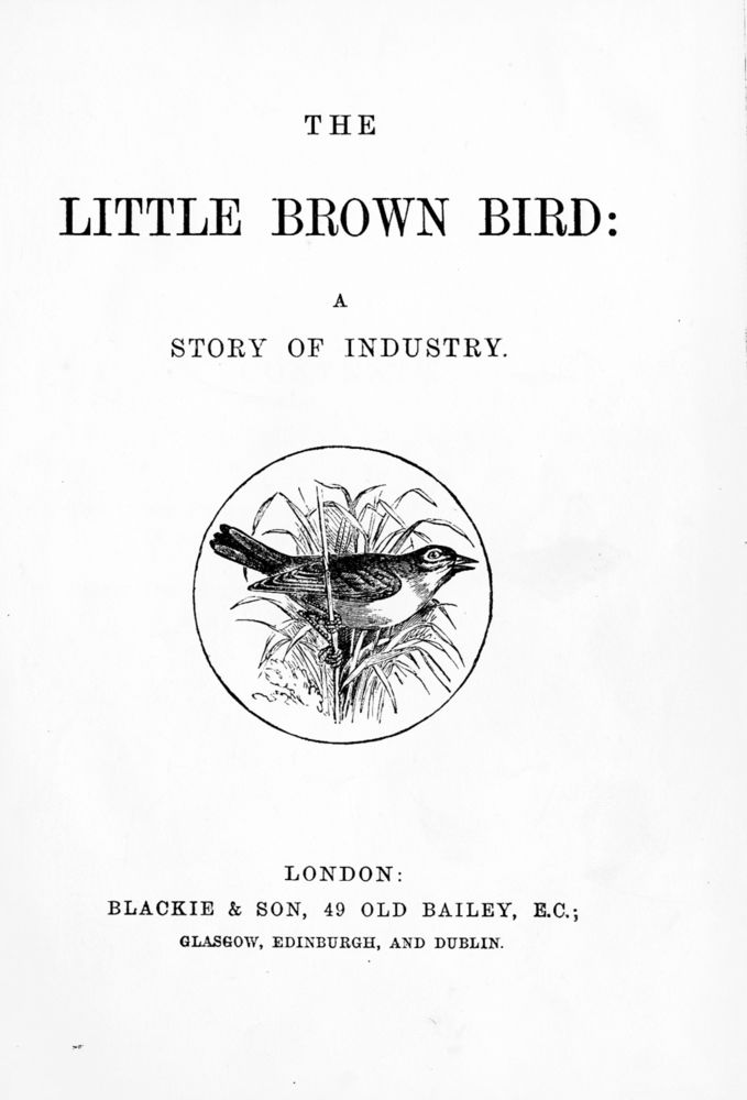 Scan 0004 of The little brown bird