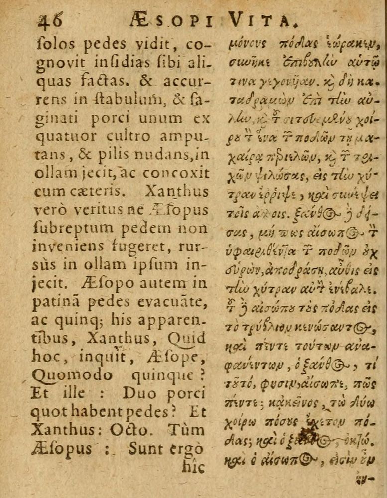 Scan 0052 of Æsopi Phrygis Fabulae graece et latine, cum aliis quibusdam opusculis