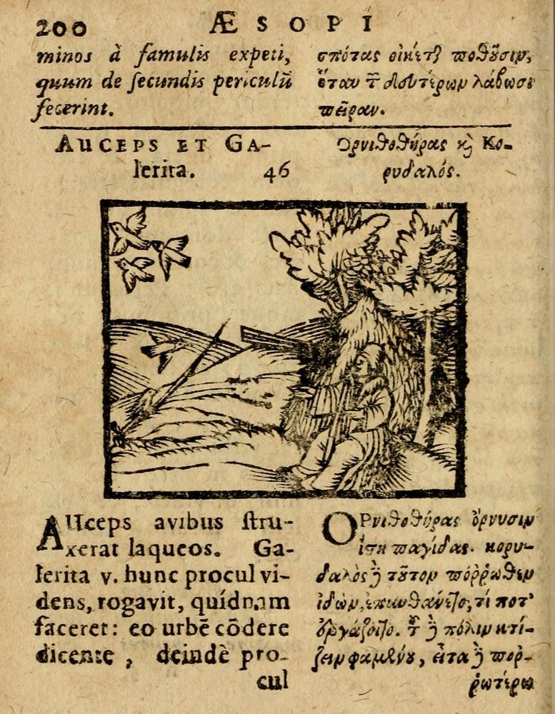 Scan 0206 of Æsopi Phrygis Fabulae graece et latine, cum aliis quibusdam opusculis