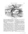 Thumbnail 0195 of Hans Christian Andersen