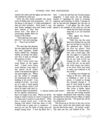 Thumbnail 0320 of Hans Christian Andersen