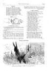 Thumbnail 0063 of St. Nicholas. August 1874