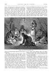 Thumbnail 0049 of St. Nicholas. October 1875