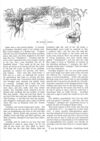 Thumbnail 0024 of St. Nicholas. May 1888