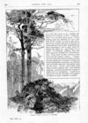 Thumbnail 0050 of St. Nicholas. November 1886