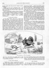 Thumbnail 0072 of St. Nicholas. November 1886