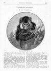 Thumbnail 0025 of St. Nicholas. April 1887