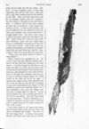Thumbnail 0043 of St. Nicholas. August 1891
