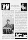 Thumbnail 0006 of St. Nicholas. February 1896