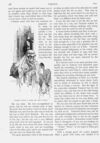 Thumbnail 0058 of St. Nicholas. November 1895