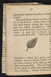 Thumbnail 0014 of Story of little Linnaeus