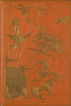 Thumbnail 0001 of The orange fairy book
