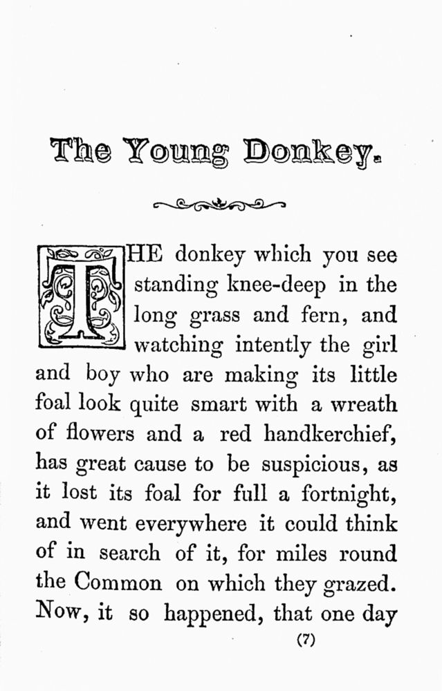 Scan 0009 of Young donkey