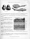 Thumbnail 0019 of New physical geography for grammar and high schools, and colleges