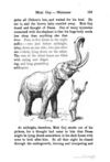 Thumbnail 0175 of The animal story book
