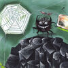 Thumbnail 0009 of Otto the spider