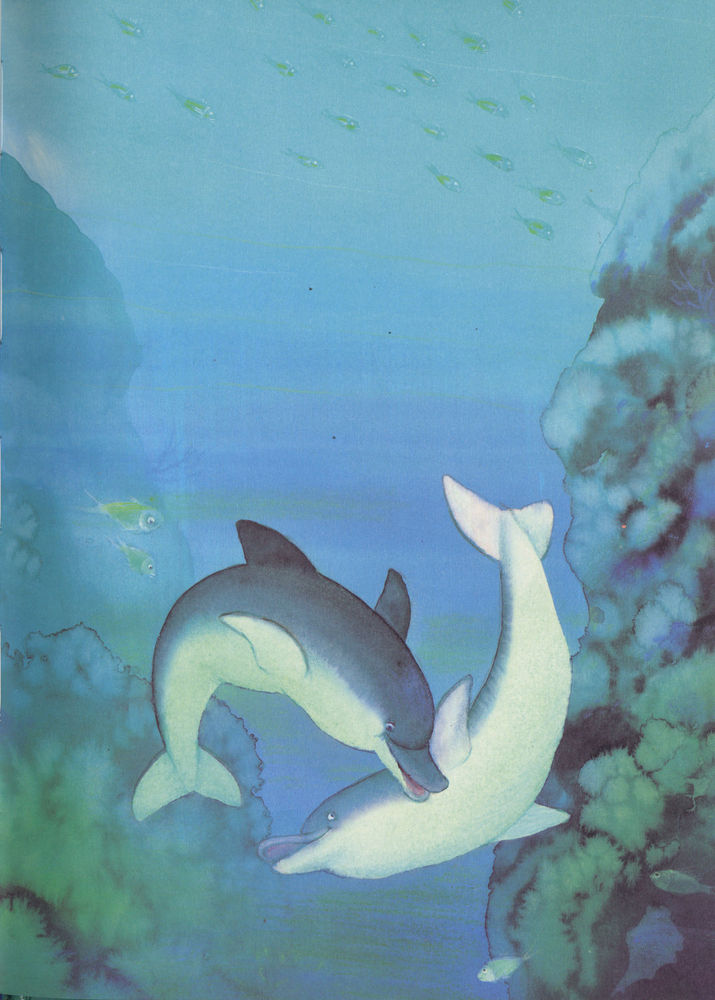 Scan 0011 of Warum der kleine Delphin Purzelbäume schlägt
